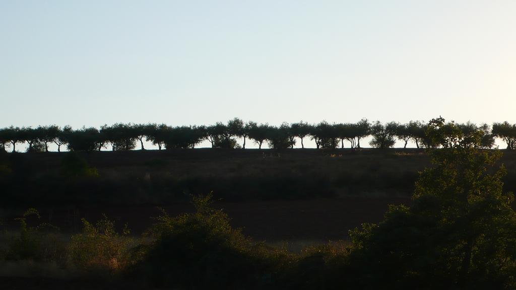 Casa Da Ti Cura